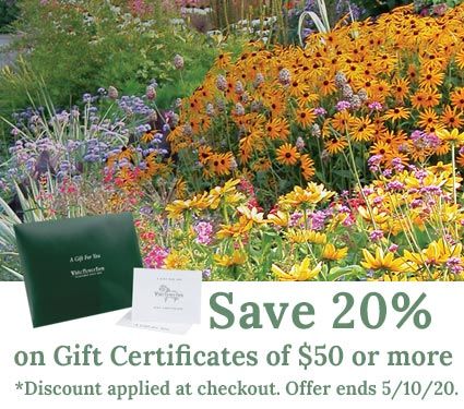 Gift Certificate Printed/Shipped White Flower Farm