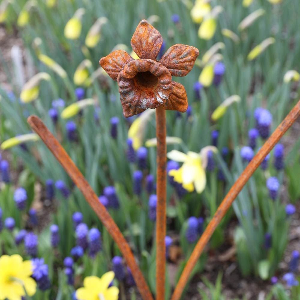 Daffodil Garden Stake White Flower Farm