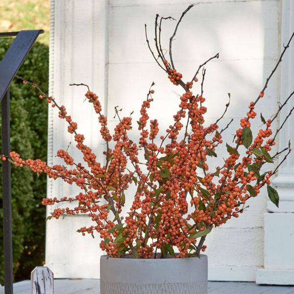 Winter Gold Winterberry Branches White Flower Farm