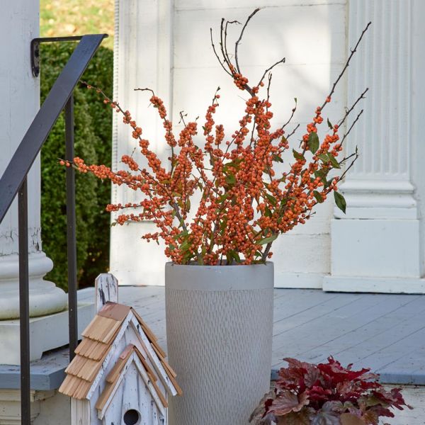 Winter Gold Winterberry Branches White Flower Farm