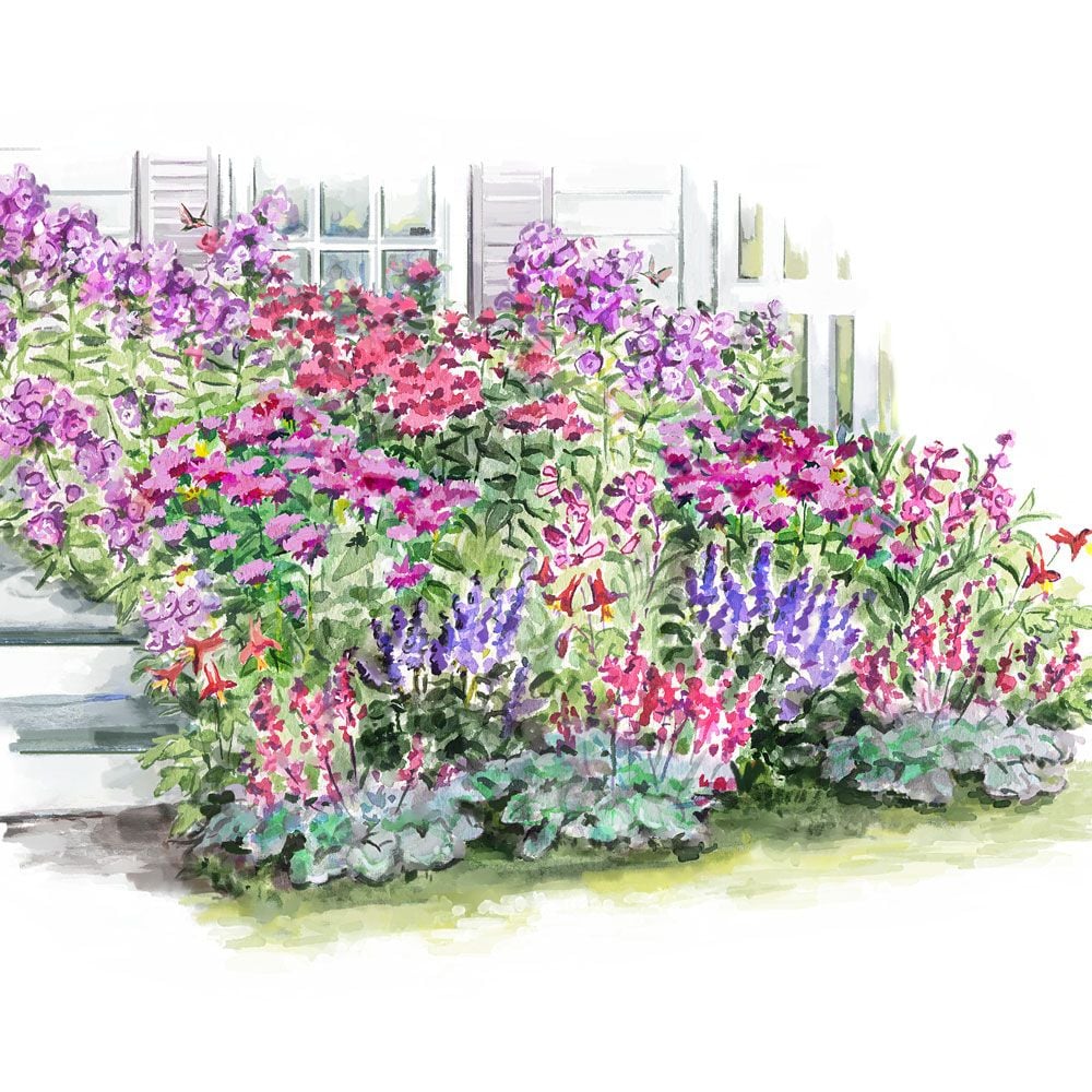 Long-Season Hummingbird Garden