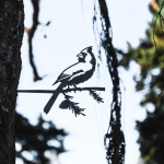  Cardinal Decorative Metal Silhouette