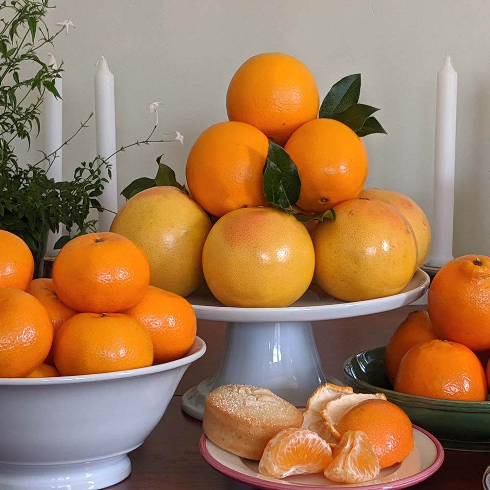 Three Months of Grapefruit and Oranges, Three 10-lb boxes, December - February