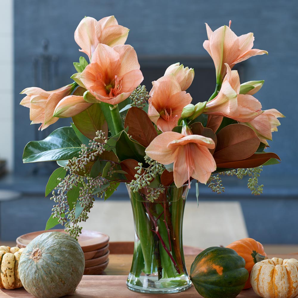 Ginger Spice Amaryllis Bouquet