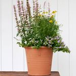 Armscote Bee Pot Large
