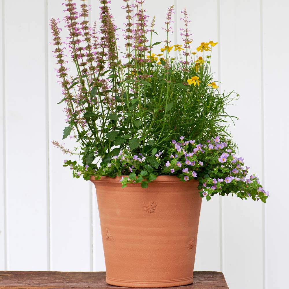 Armscote Bee Pots