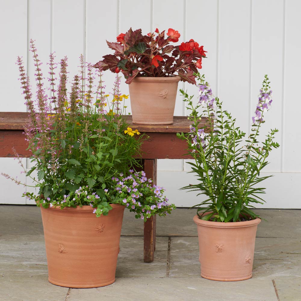 Armscote Bee Pots