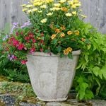  Milano Octagon Planter