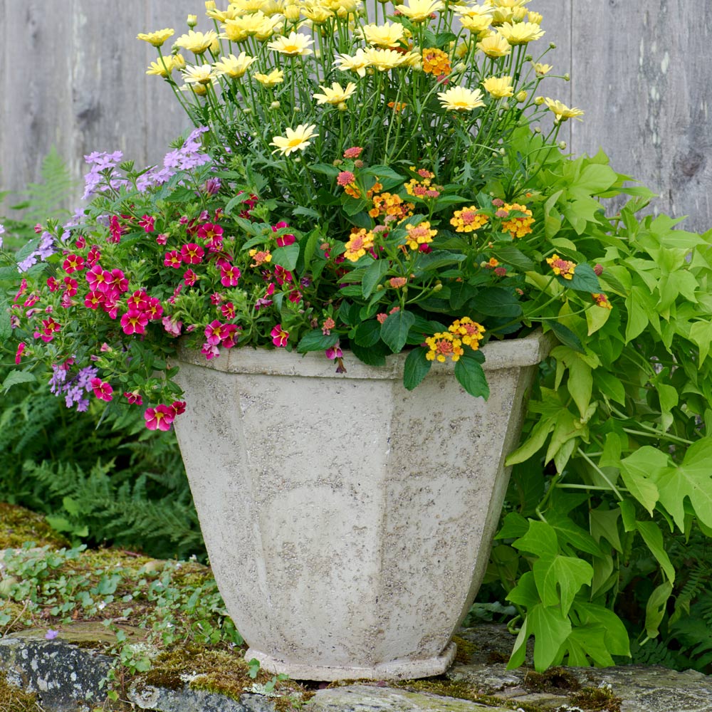 Milano Octagon Planter