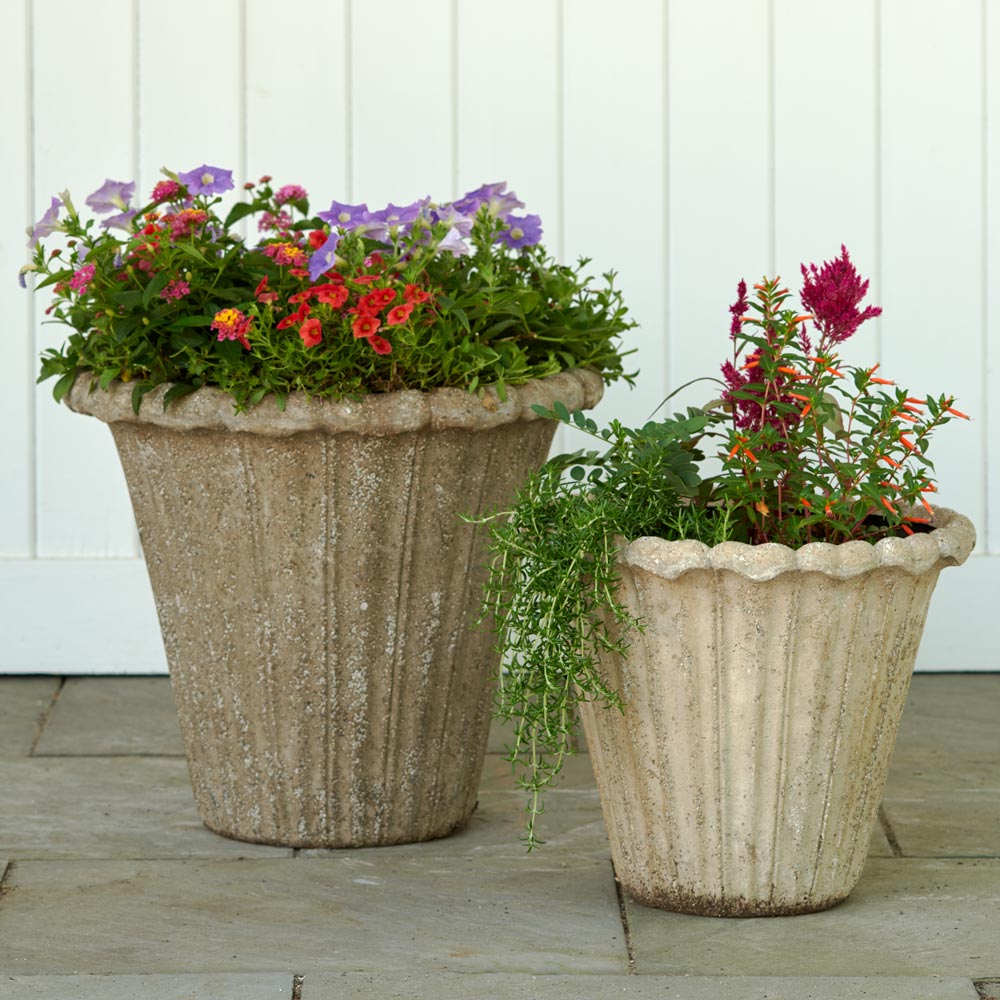 Avignon Pot, large White Flower Farm