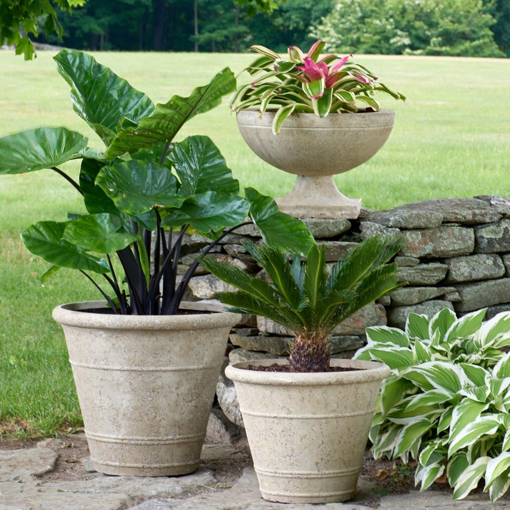 Etna Ringed Planters