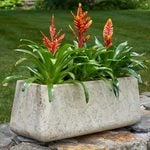 Large Containers & Planters
