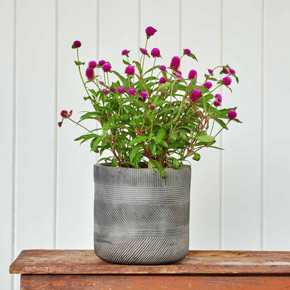 Barcelona Cylinder Planters, Black