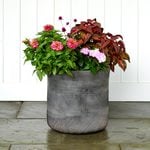 Barcelona Cylinder Planter, Black Large