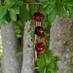  Copper Blossoms Hummingbird Feeder