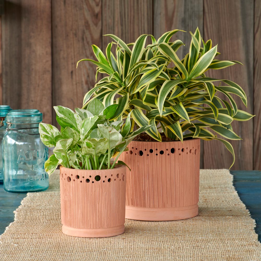 Earth and Sky Terracotta Pot
