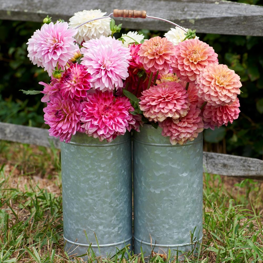 Garden Pail Caddy