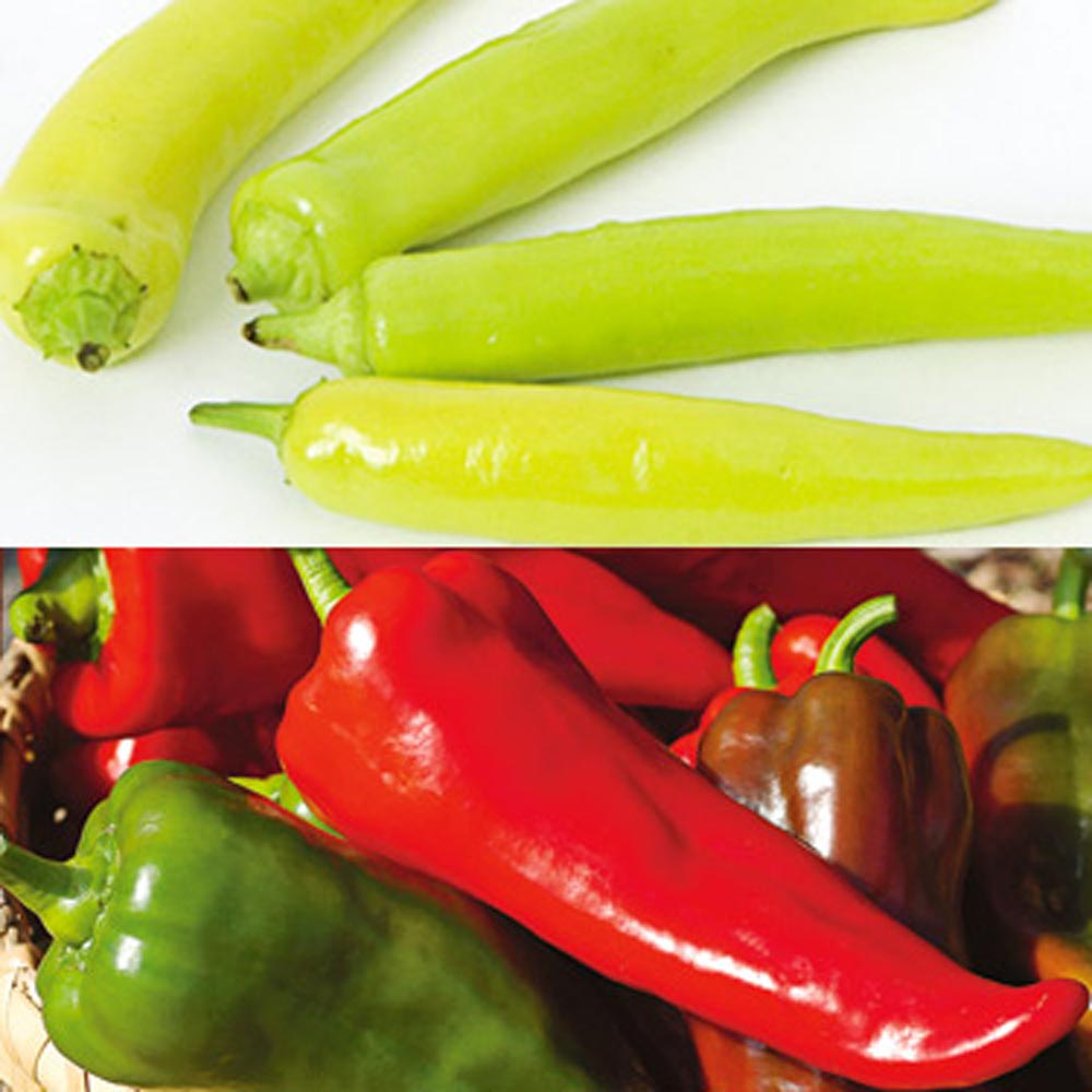Frying Pepper Collection - Sweet