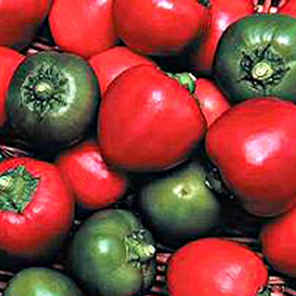 Chile Pepper Cherry Bomb
