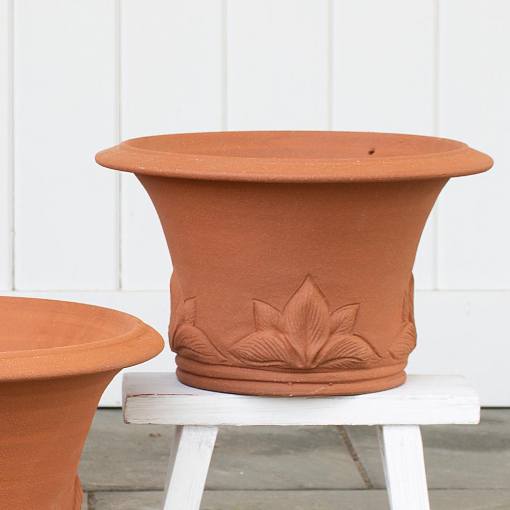 Hosta Pots