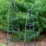  Perching Bird Trellis