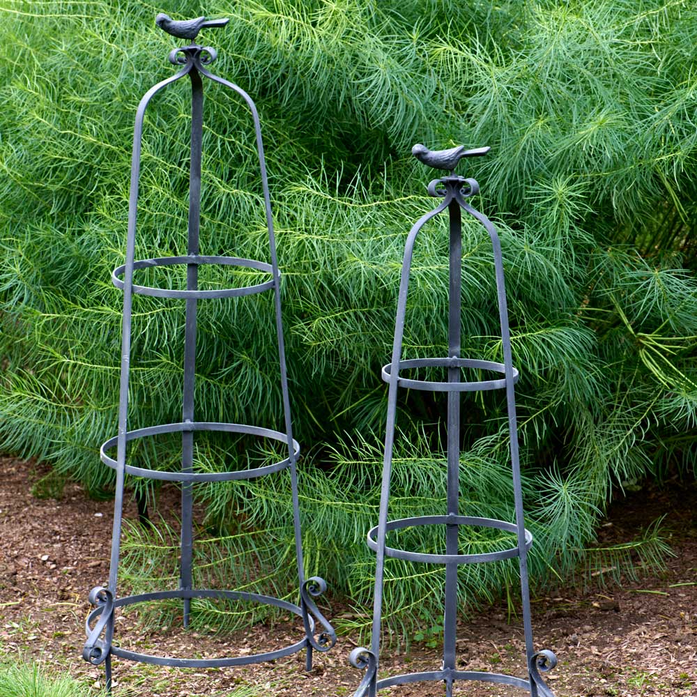 Perching Bird Trellis