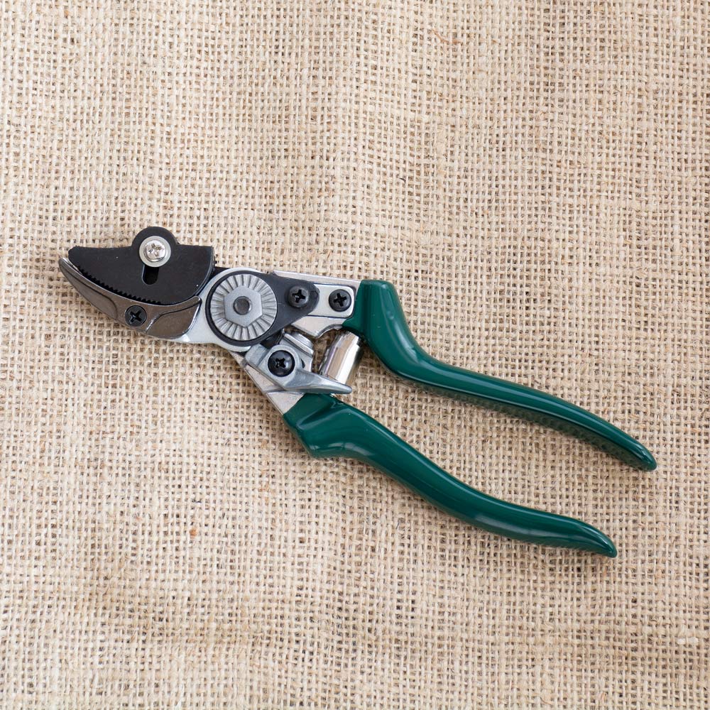 StemGripping Rose Pruners White Flower Farm