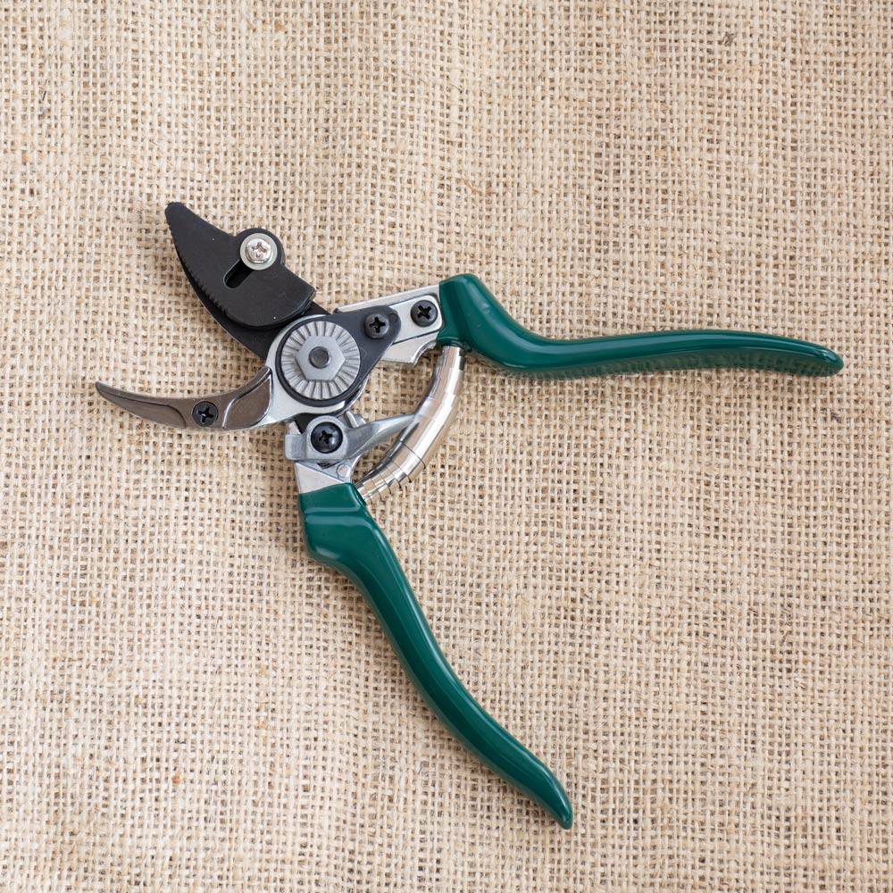 Stem-Gripping Rose Pruners