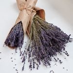  Dried Lavender Bundle