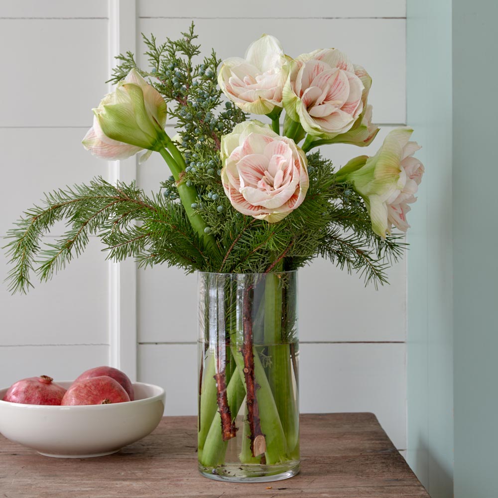 Amaryllis 'Nymph' Bouquet