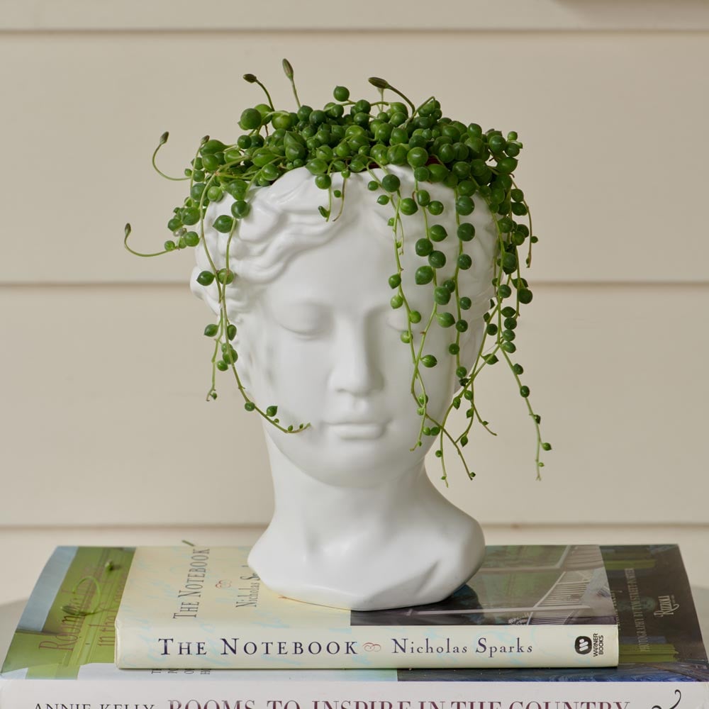 Persephone Ceramic Planter