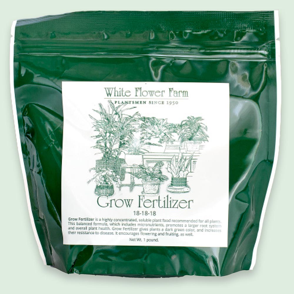 Grow Fertilizer White Flower Farm