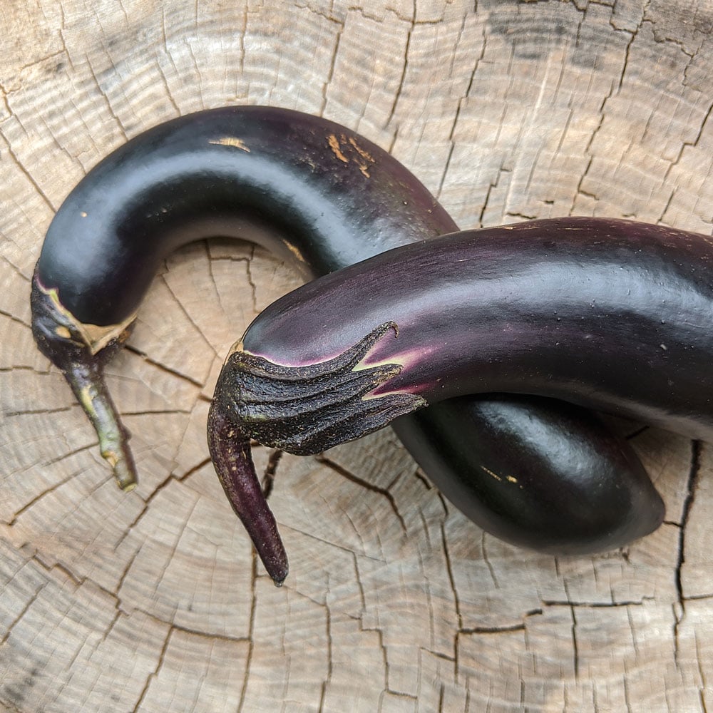 Eggplant Shikou