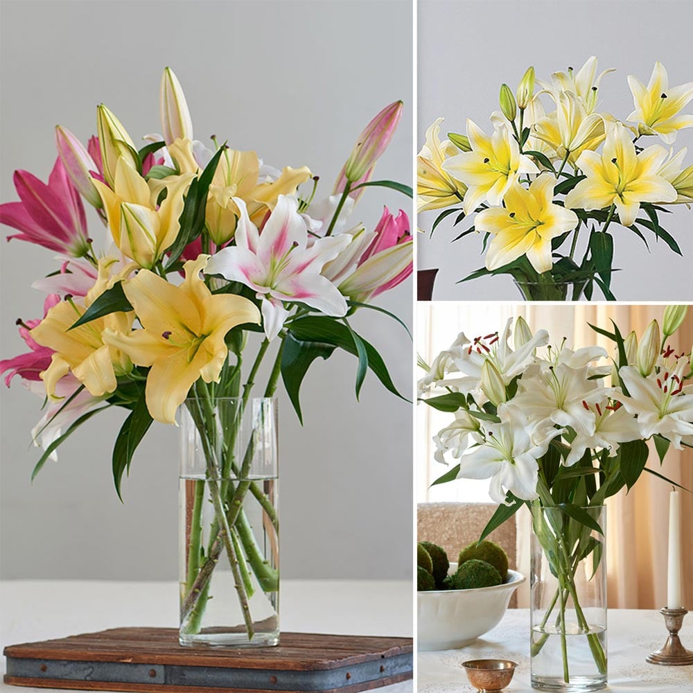 Months of Fragrant Lily Bouquets