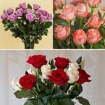  Months of Elegant Rose Bouquets