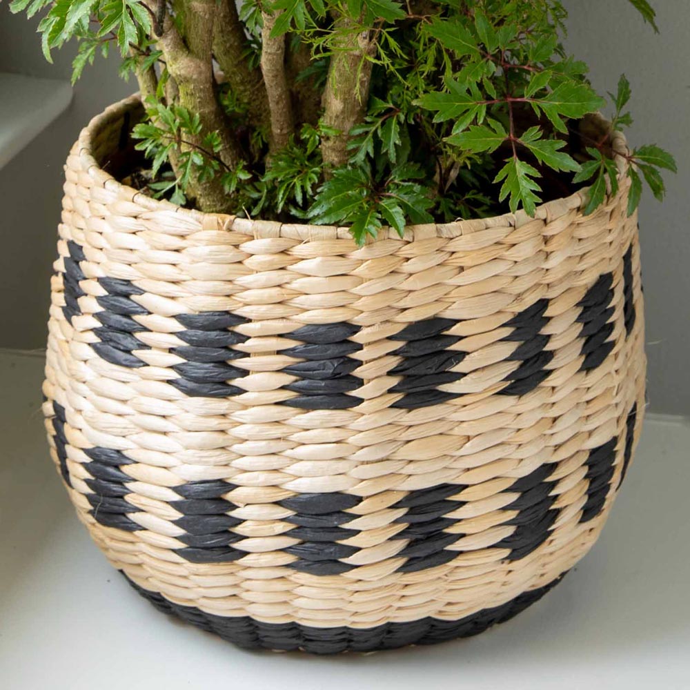 Owosso Basket, medium