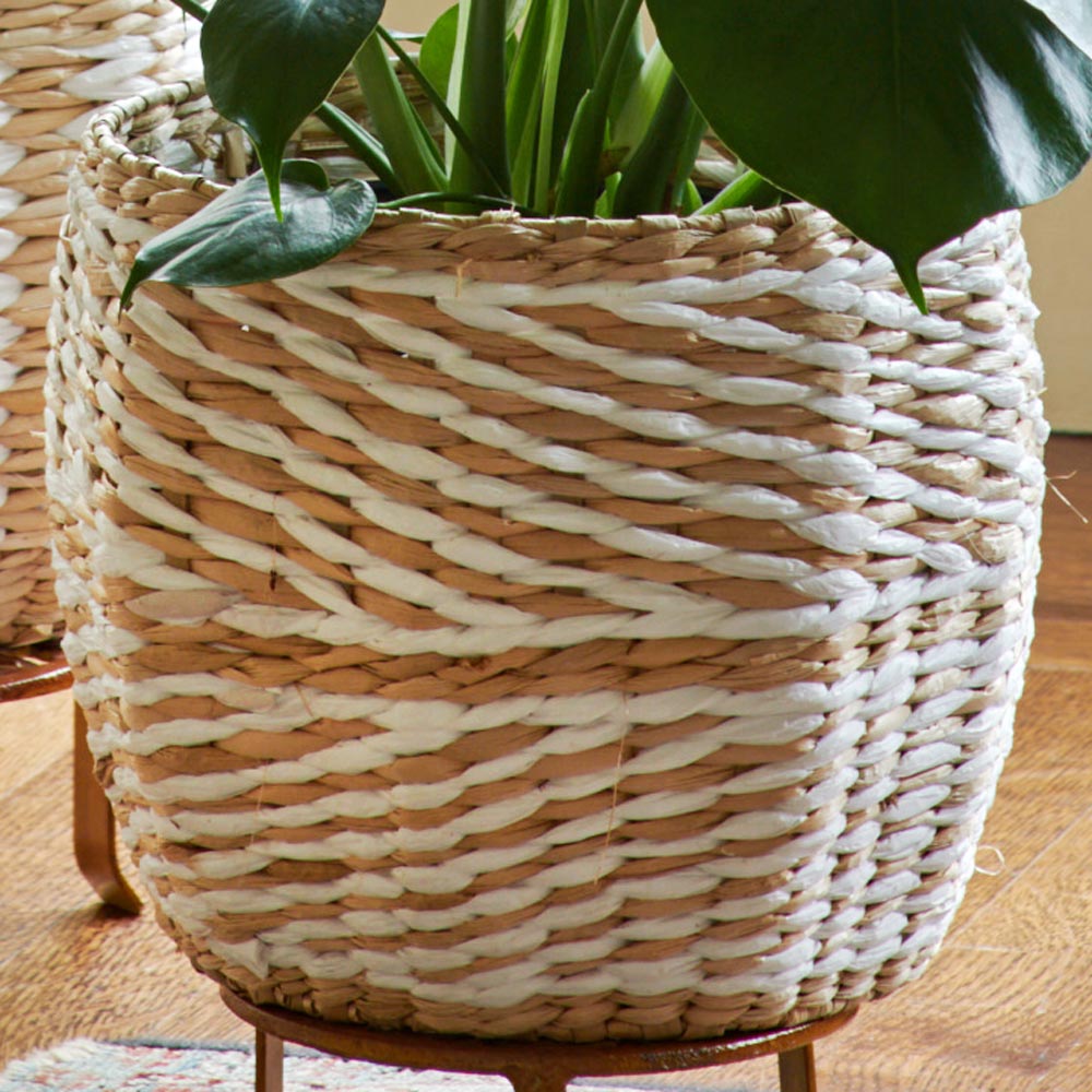 Amasa Basket, large
