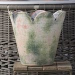 Scalloped Terracotta Pot and Saucer Medium