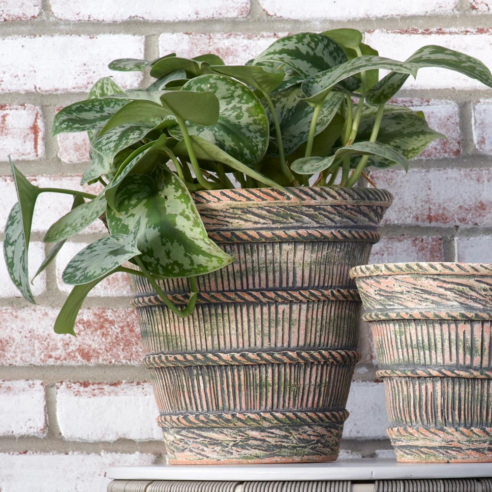 French Harvest Pot, Large