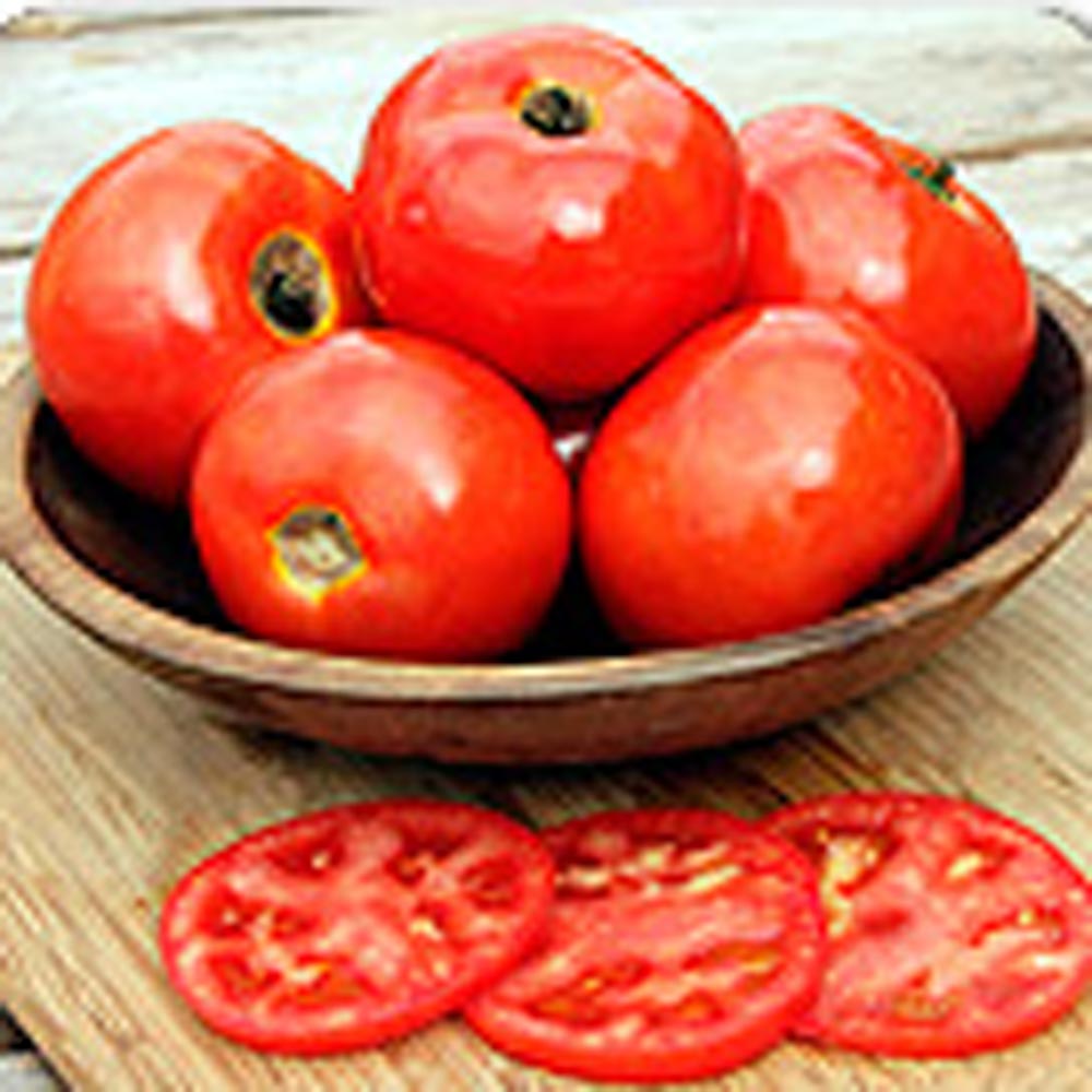 Tomato 'Iron Lady'