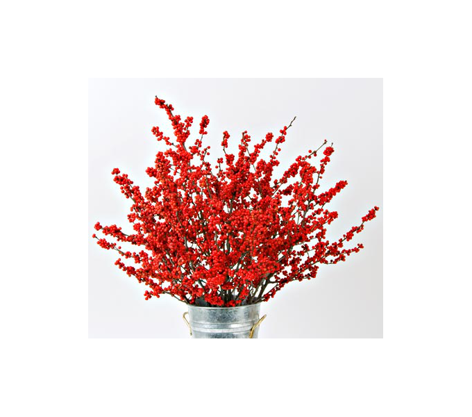 Winterberry Stems (set of 4 stems) White Flower Farm