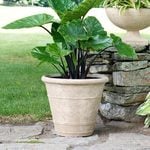 Etna Ringed Planter Large