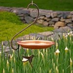  Small Flyers Birdbath