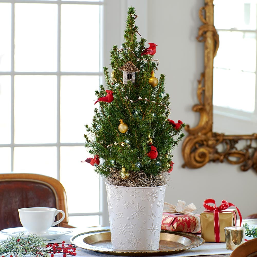 Holiday Cardinal Tabletop Tree