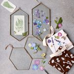  Pressed Flower Frame