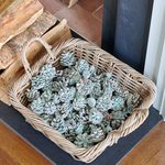  Sapphire Flame Cones, 5 lb bag