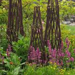  Willow Twig Plant Trellis
