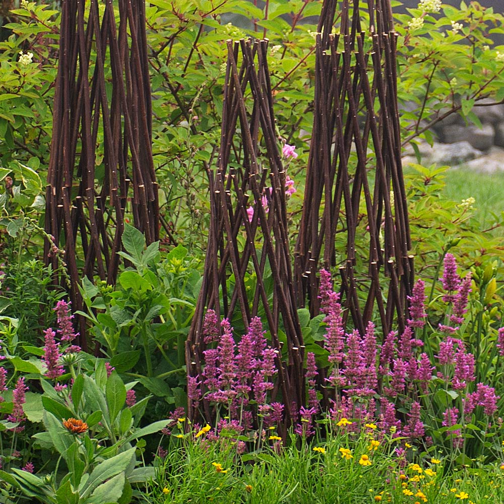 Willow Twig Plant Trellis