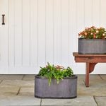 Franklin Park Oblong Pot Small