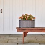Franklin Park Oblong Pot X-small